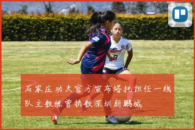 石家庄功夫官方宣布塔托担任一线队主教练曾执教深圳新鹏城