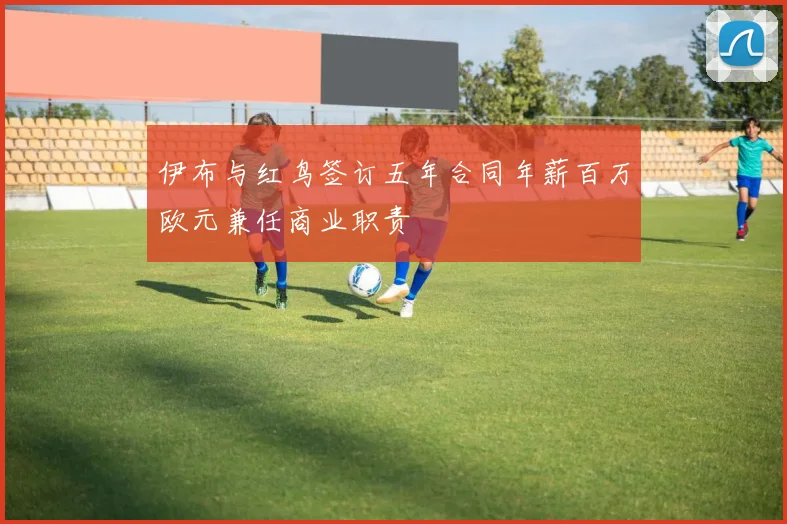 伊布与红鸟签订五年合同年薪百万欧元兼任商业职责